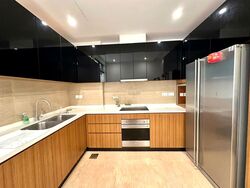 Holland Link (D10), Terrace #598171911